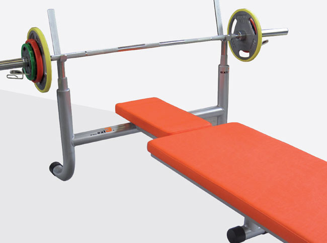 double ability bench
